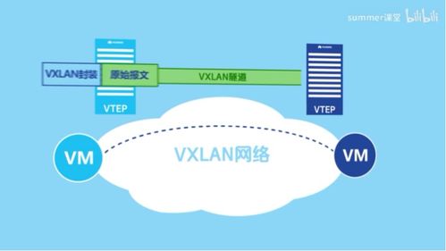 VXLAN通信原理与应用场景 网络与信息安全软件开发视角